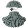 Bobbiny šňůry Premium Vavřín se stříbrnou nitkou (Silverly Laurel)