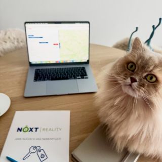 Ach jo, panička mě nutí makat i v sobotu 😿. Můžete na ní někdo zavolat kočičí sociálku?🐈🐈🐈 #kockavrealitach #realitnikocka...