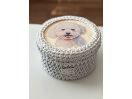 Obrázek WhatsApp, 2025 03 20 v 18.43.06 052b27dd