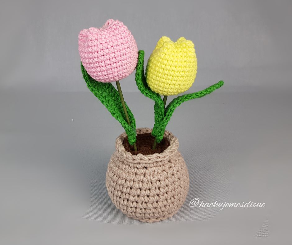 TULIPÁNKY CO NIKDY NEUVÁDNOU