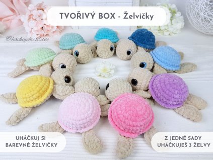 BOX ŽELVY 1
