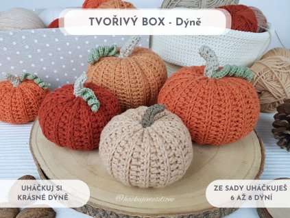 BOX DÝNĚ 1