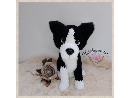 Border kólie 5 s logem