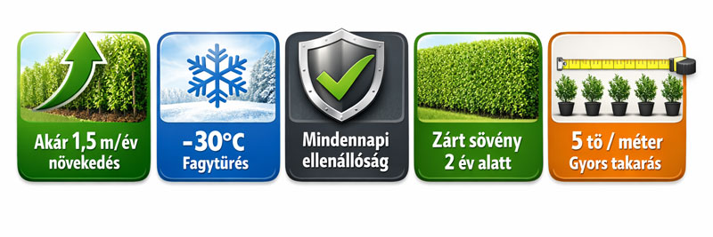 mozaik_banner