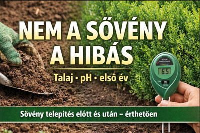 soveny_abc