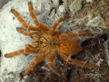 P8250928