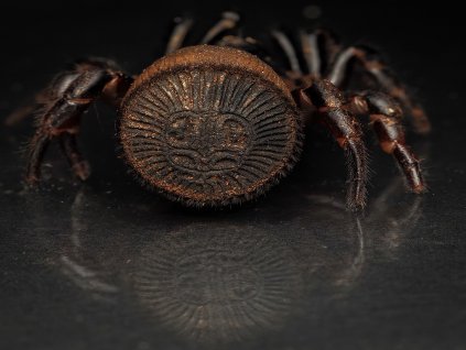 Lumii 20251125 233357162