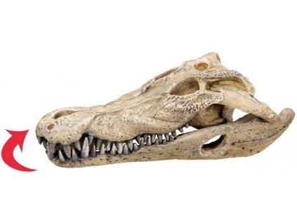 Kvalitná pohyblivá a vzduchovacia dekorácia do všetkých typov akvárií Nobby Crocodile Skull 26cm