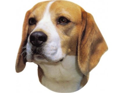Balenie 2 kusov samolepiek odolných voči poveternostným podmienkam Nobby Beagle