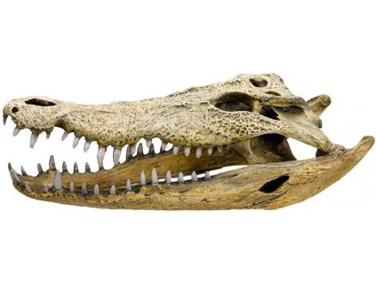 Kvalitná dekorácia do všetkých typov akvárií Nobby Crocodile Skull - Lebka krokodíla 47,5cm