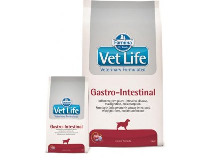 Veterinárna diéta pre psy na redukciu črevnej malabsorpcie Farmina Vet Life Gastrointestinal