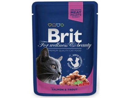 BRIT Premium Adult Salmon and Trout 100 g: kombinácia lososa a pstruha v omáčke pre mačky