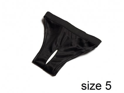 Nohavičky pre feny v období hárania veľkosti 5 v čiernej farbe Nobby DeLuxe