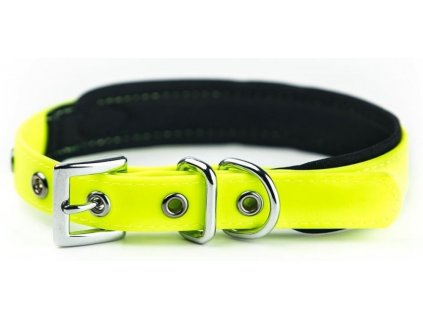 Pevný a kvalitný obojok pre psy s neoprénovou podšívkou pre obvod krku 35-45cm Nobby Cover S-M