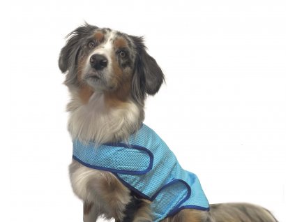 Chladiaca vesta pre stredných psov na podporu termoregulácie pri zvýšenej aktivite Nobby Comfort L
