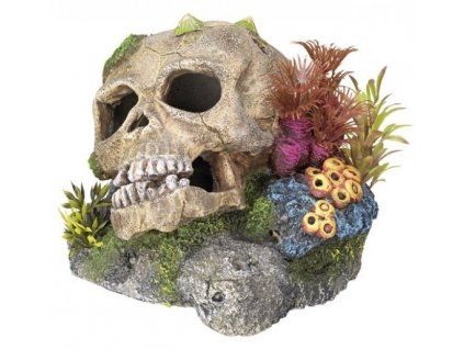 Kvalitná dekorácia do všetkých typov akvárií Nobby Skull - Lebka s rastlinami 13,5x13,5x10,5cm