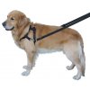 Kvalitný nylonový postroj s vodítkom pre menšie psy vhodný pre výcvik Nobby Top Walk