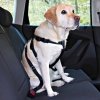 Kvalitný bezpečnostný postroj s opaskom pre psy do auta od Nobby veľkosti M v čiernej farbe