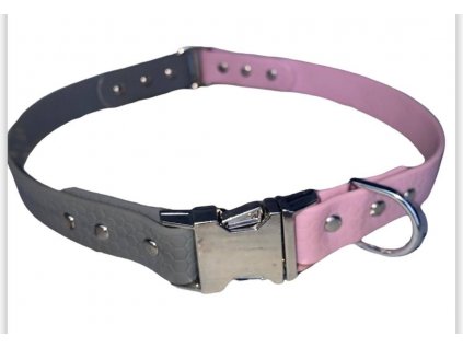 279109085 962363164424645 487314606505265498 n