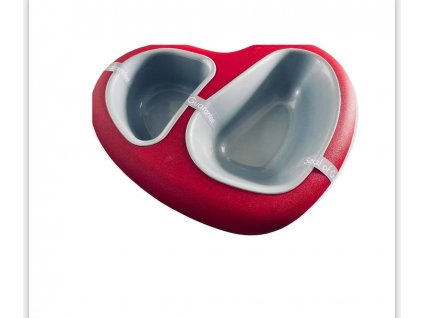 275554042 1542787202770580 3585379525990567442 n