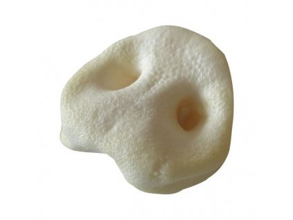 veprovy rypacek bily kus