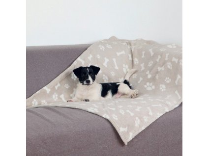 Plyšová deka KENNY 75 x 100 cm béžová s kostičkami a packami