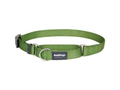 Obojek polostahovací Red Dingo 20 mm x 33-50 cm - Jednobarevný - Zelená