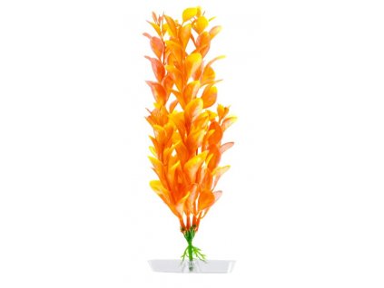 18336 orange ludwigia 18 21 cm 1