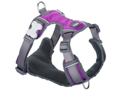 Postroj Red Dingo polstrovaný L - 56-80 cm - Fialová