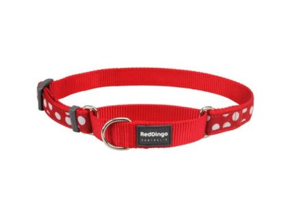 Obojek polostahovací Red Dingo 25 mm x 41-62 cm - White Spots on Red