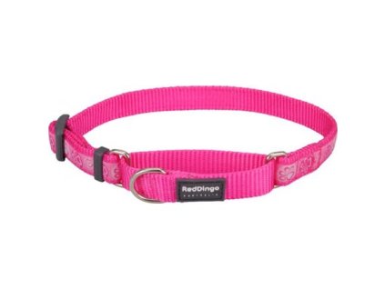 Obojek polostahovací Red Dingo 25 mm x 41-62 cm - Paw Impressions HP