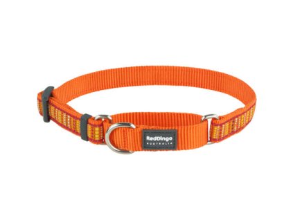 Obojek polostahovací Red Dingo 20 mm x 33-50 cm - Lotzadotz Orange