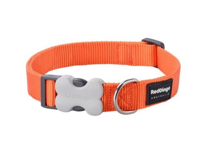 Obojek Red Dingo 25 mm x 41-63 cm - Jednobarevný - Oranžová