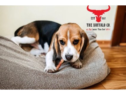 Sušené buvolí ocásek 1ks