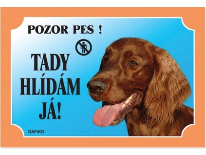 Barevná cedulka Pozor pes Irský setr
