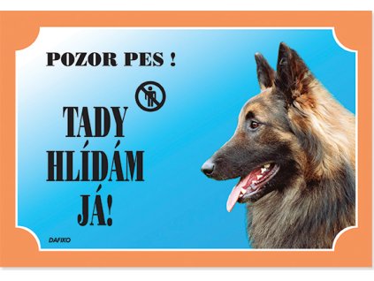 Barevná cedulka Pozor pes Tervueren