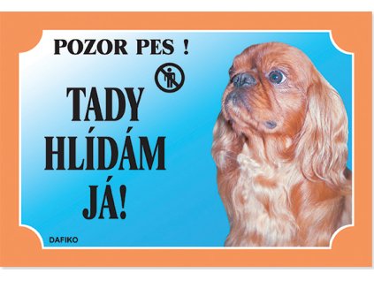 Barevná cedulka Pozor pes Kavalír King Charles