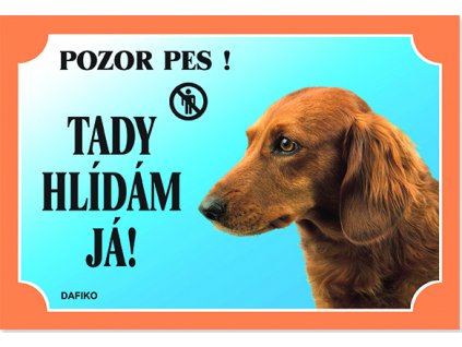 Barevná cedulka Pozor pes Jezevčík dlouhosrstý