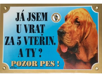 Barevná cedulka Pozor pes Bladhaund