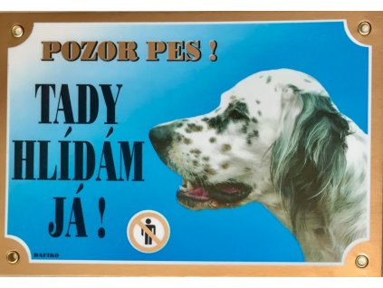 Barevná cedulka Pozor pes Setr bílý