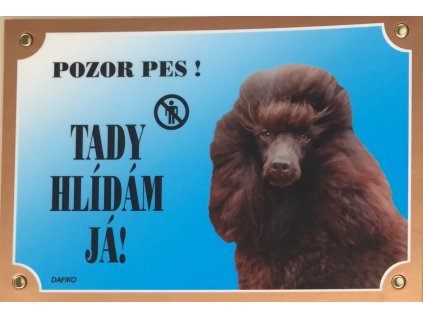Barevná cedulka Pozor pes Pudl hnědý