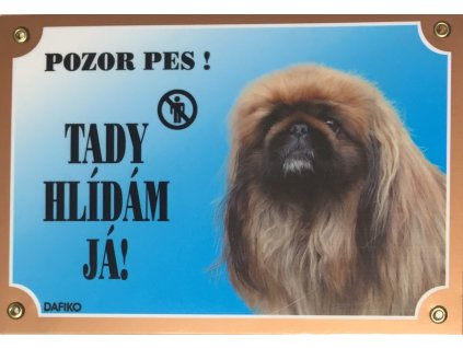 Barevná cedulka Pozor pes Pekinéz