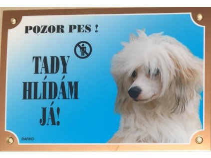 Barevná cedulka Pozor pes Čínský chocholatý pes