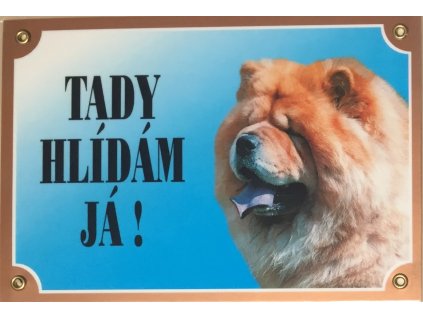 Barevná cedulka Pozor pes Čau čau