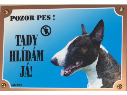 Barevná cedulka Pozor pes Bullterier pes