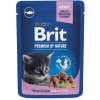 bpc pouch white fish for kitten