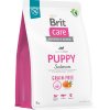 Brit Care Dog Grain-free Puppy Salmon 3kg