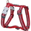 Postroj Red Dingo 20 mm x 45-66 cm - Cosmos Red