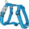 Postroj Red Dingo 25 mm x 71-113 cm - Daisy Chain Turq.