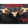 The Buffalo Co. Gently Dently Dentální pamlsky s lososem 175 g